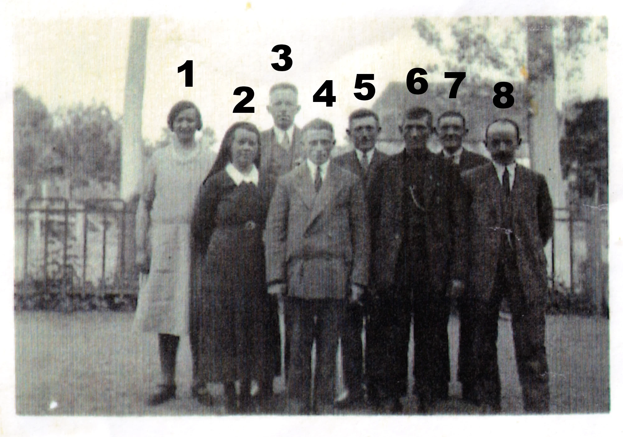 Bestuur Groene Kruis